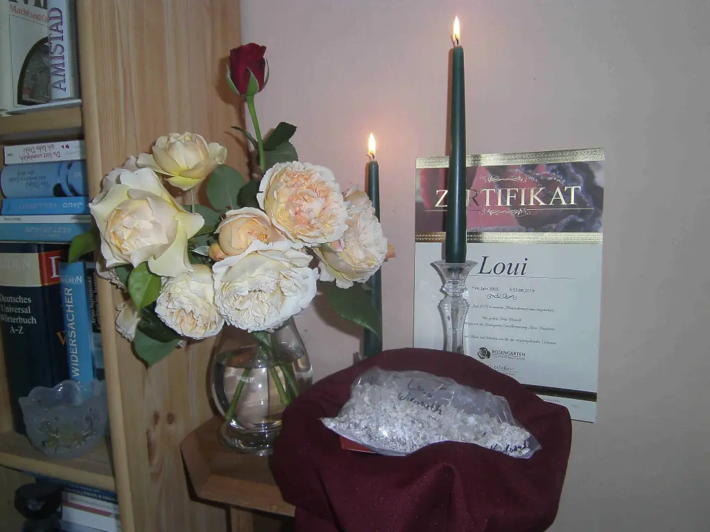 Image from Loui