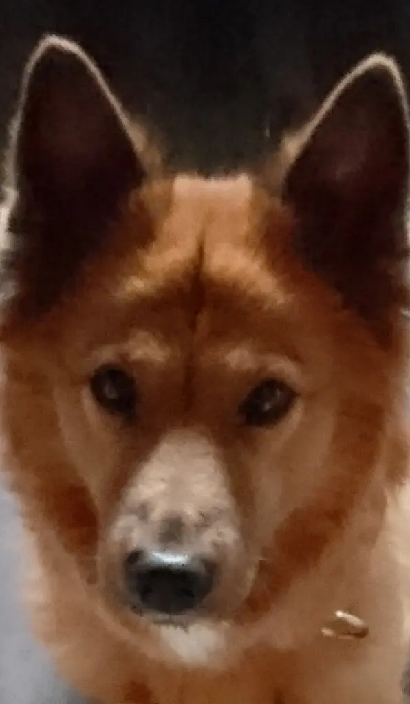Image from Cilly
