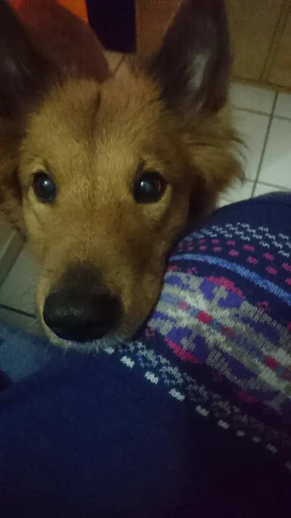 Image from Cilly