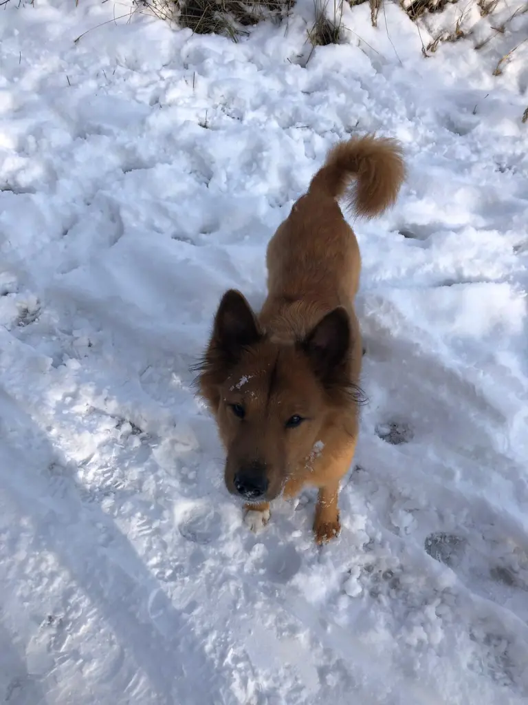 Image from Cilly