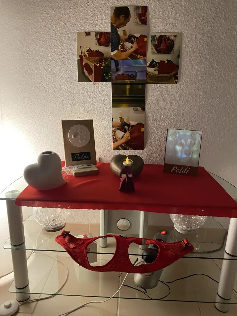 Image from Poldi