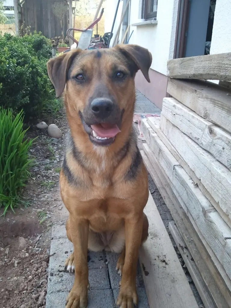 Image from Luna