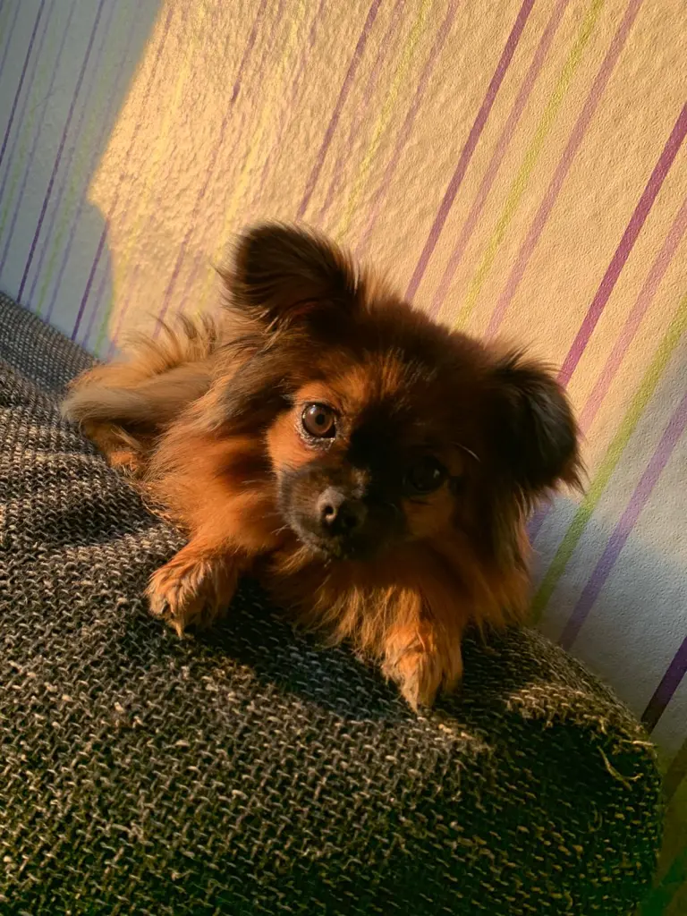 Image from Kiki