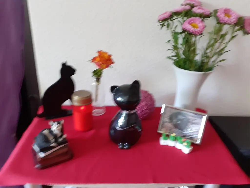 Image from Fee