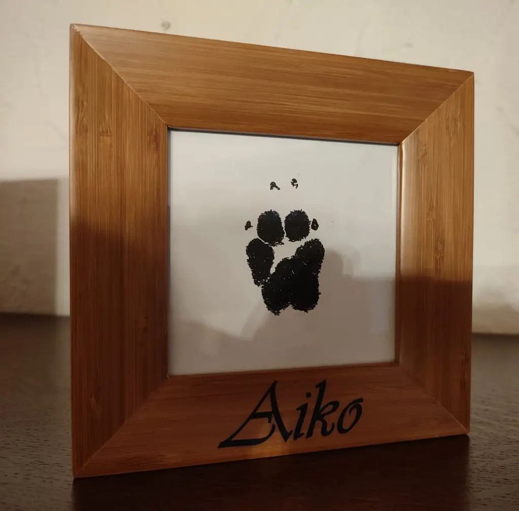 Image from Aiko