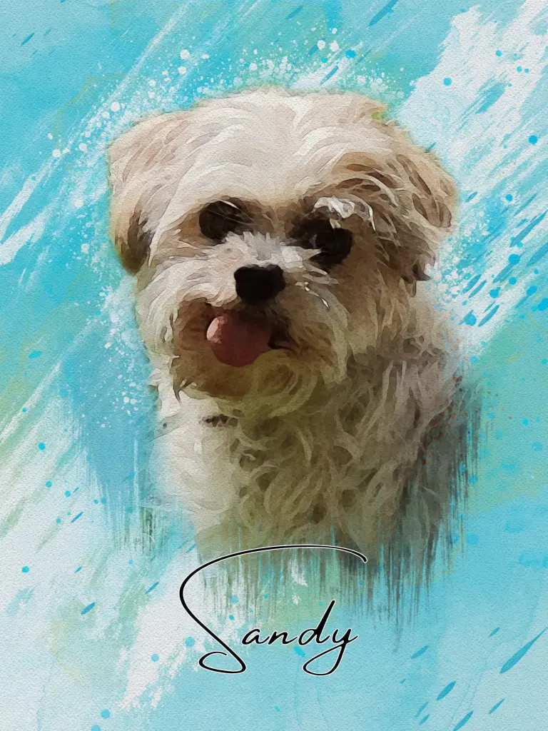 Image from Sandy