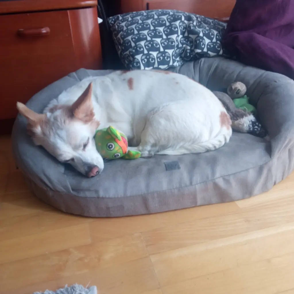Image from Candy