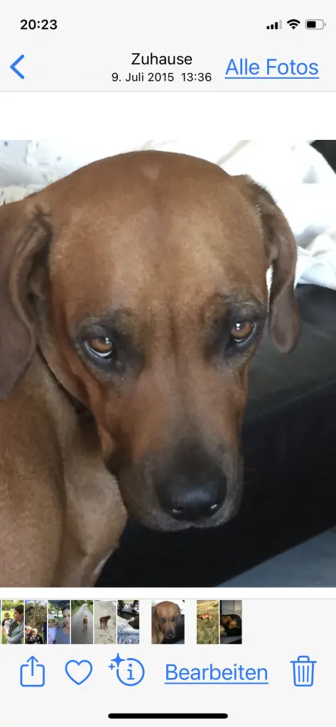 Condolence image of Gisela