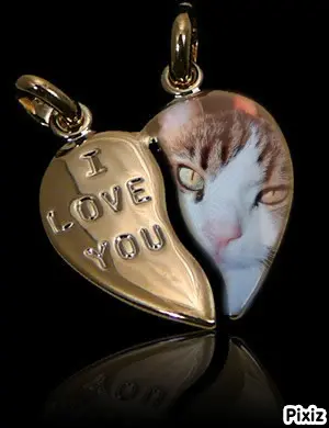 Condolence image of Für das allerliebste kleine Sternchen Timmy ♥️