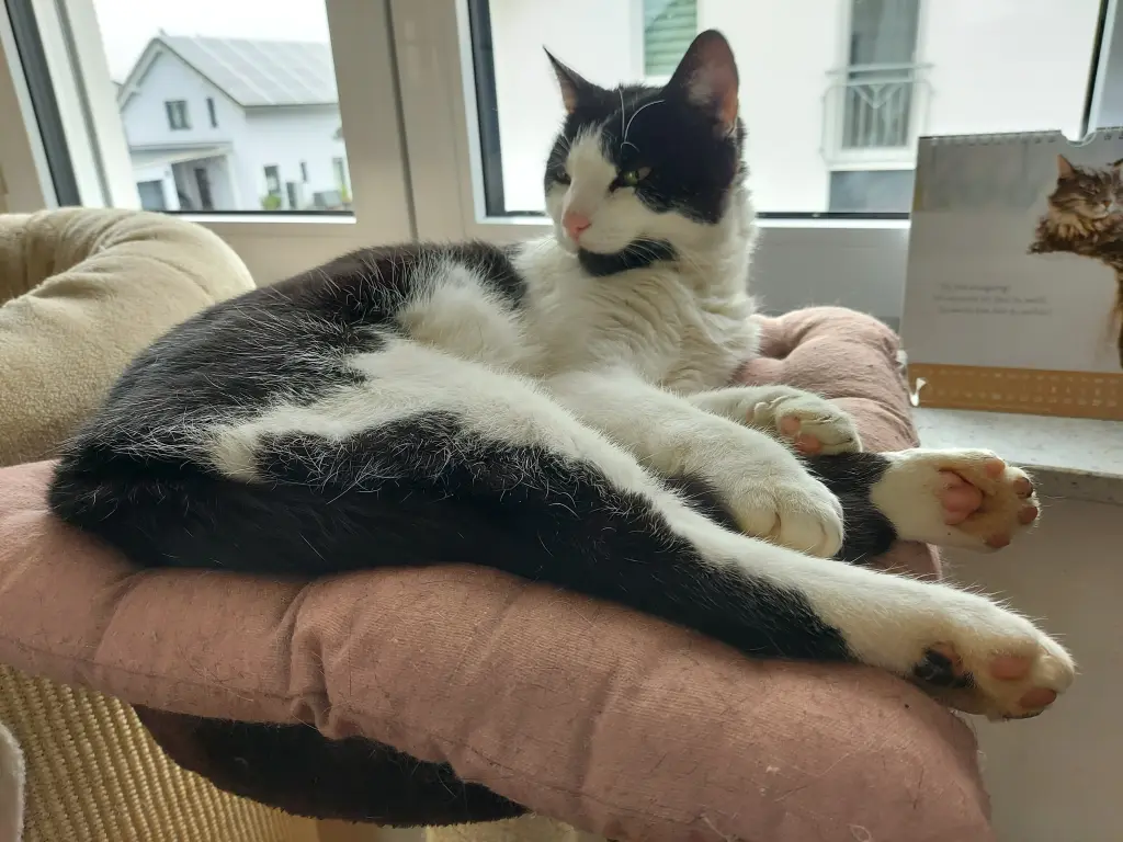 Condolence image of Karin mit Moritz im Herzen