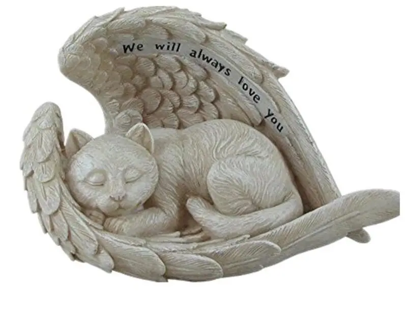 Condolence image of Rosen für Timmy zum 3. Sternchen-Tag