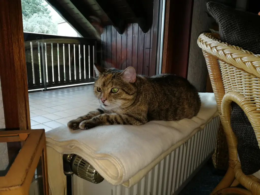 Condolence image of Daniela mit Pauline im ♥️ (+27.05.2021)