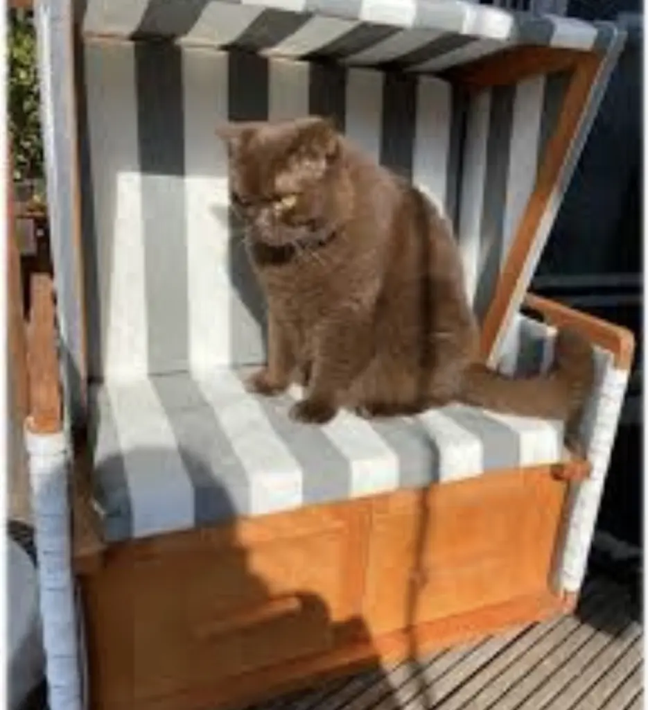 Condolence image of Emma an Timmy