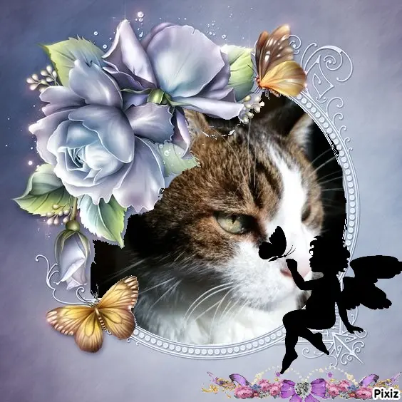 Condolence image of Patricia mit Bunny ❤