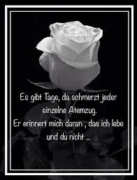 Condolence image of Annemarie und Elke mit Snoopy im Herzen gest.04.01.2022