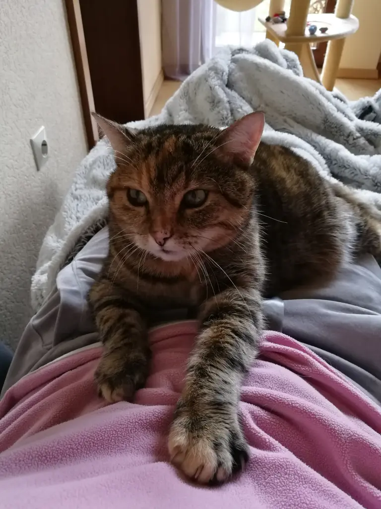 Condolence image of Pauline an Timmy Mama Tanja ❤️