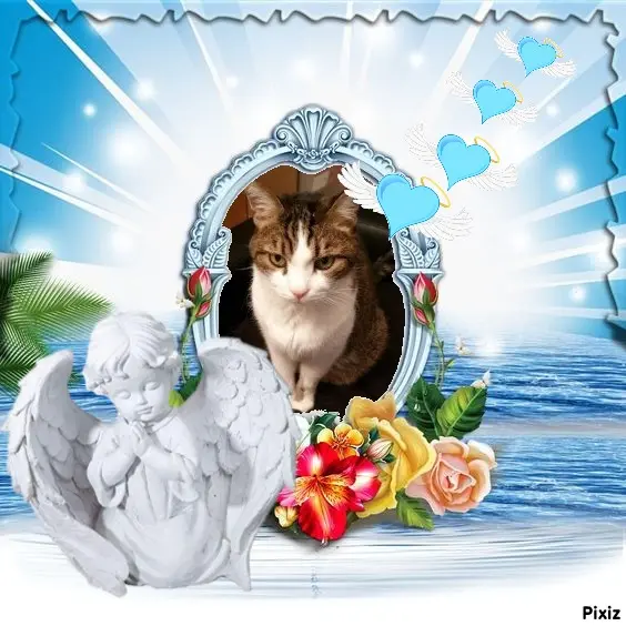 Condolence image of Patricia mit Bunny ❤