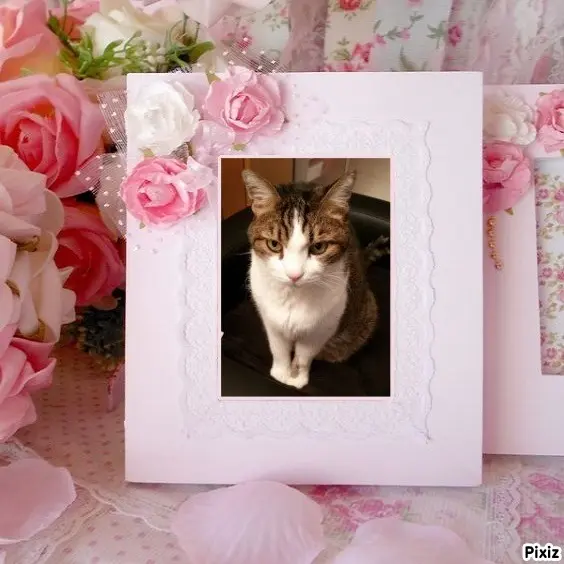 Condolence image of Patricia mit Bunny ❤