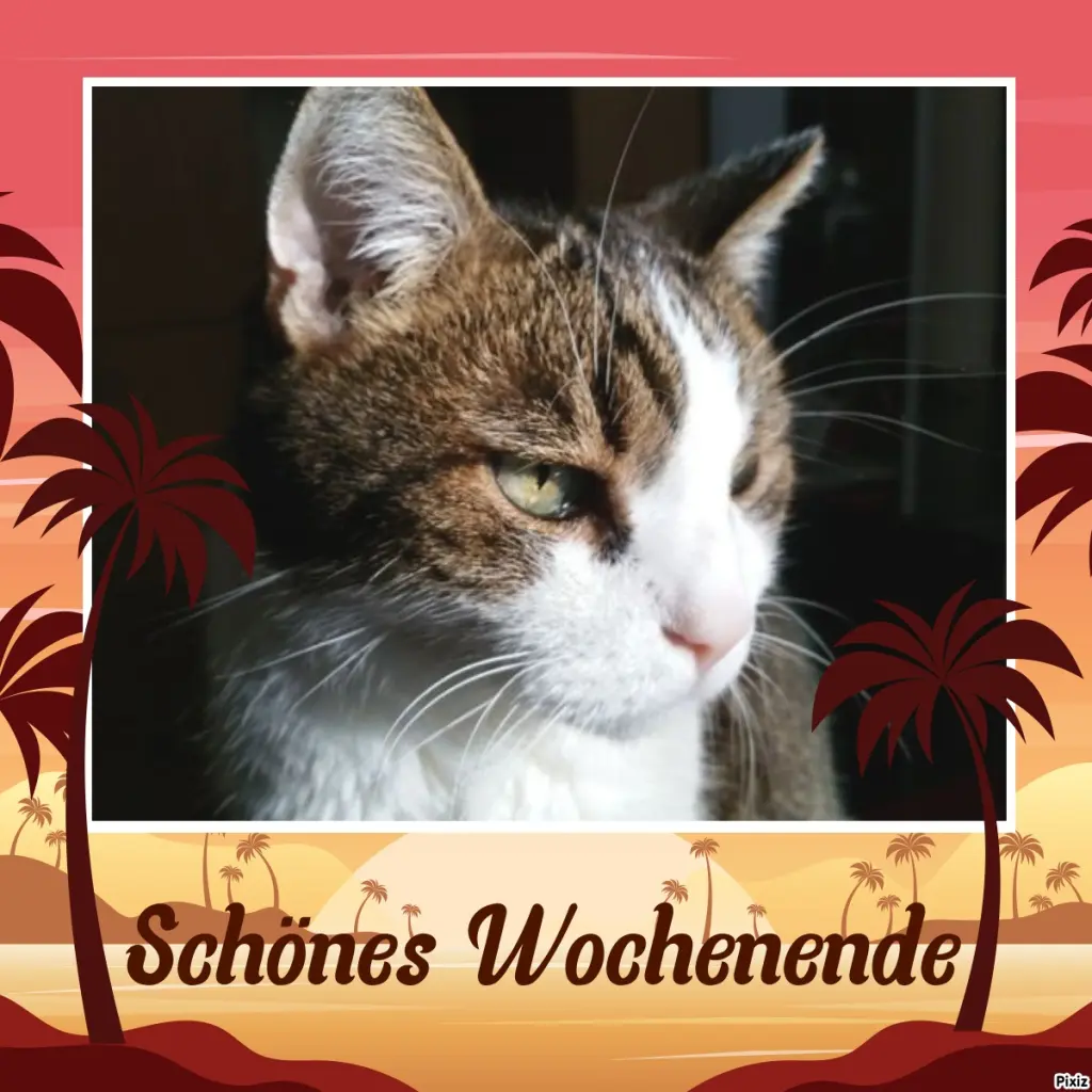 Condolence image of Patricia mit Bunny ❤