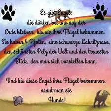 Condolence image of Annemarie und Elke mit Snoopy im Herzen gest.04.01.2022