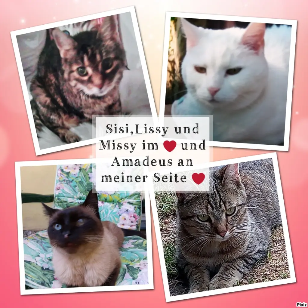 Condolence image of Für ein kleines Engelchen namens Timmy♥️