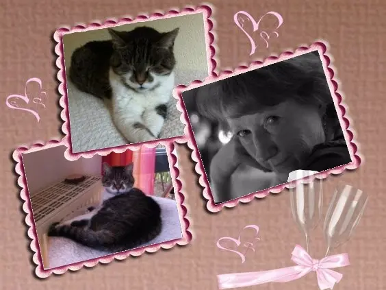 Condolence image of Post von Minki ♥️