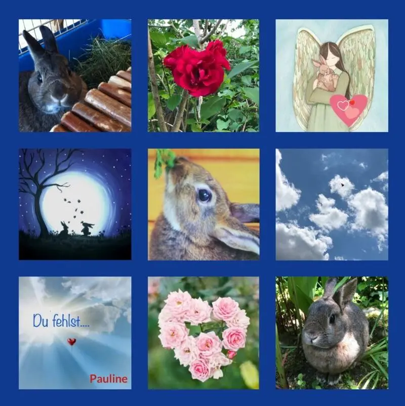 Condolence image of Danke von Pauline und Drina