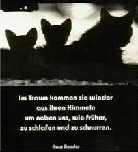 Condolence image of Annemarie und Elke mit Snoopy im Herzen gest.04.01.2022