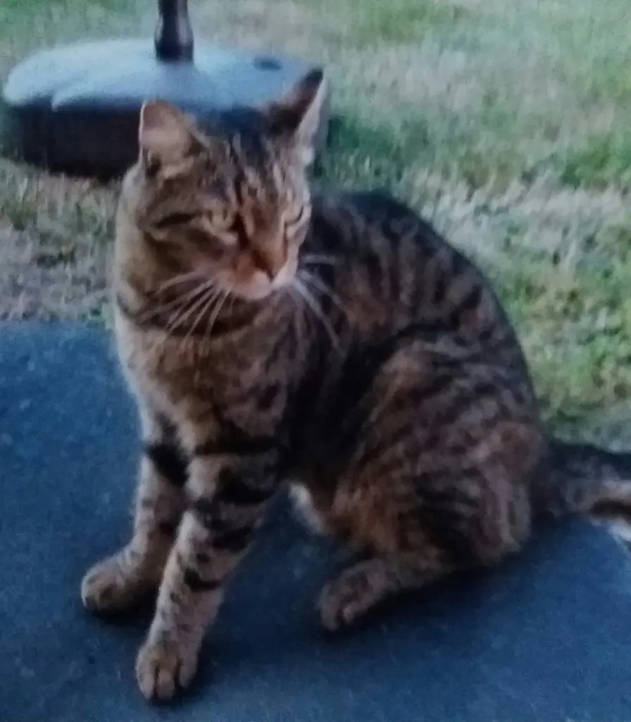 Condolence image of Annemarie und Elke mit Snoopy im Herzen gest.04.01.2022