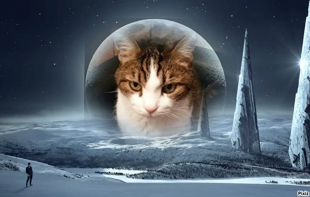 Condolence image of Patricia mit Bunny ❤