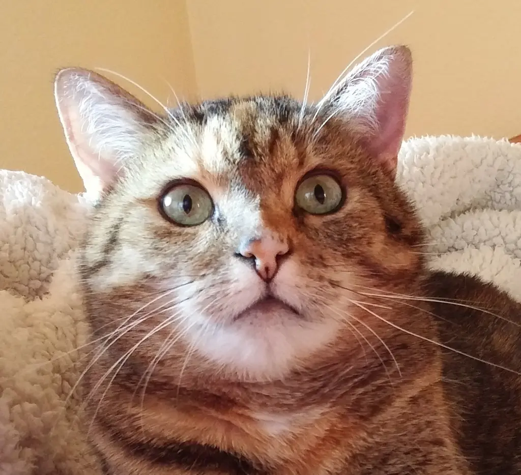 Condolence image of Daniela mit Pauline im ♥️ (+27.05.2021)