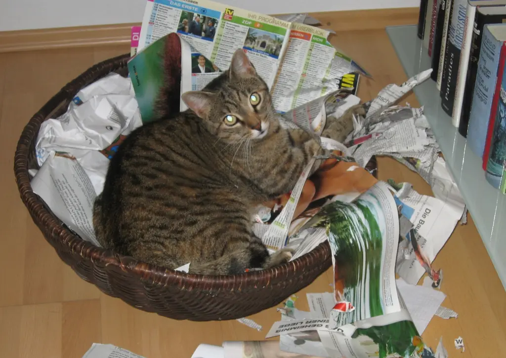 Condolence image of Elisabeth mit Marple im ♥