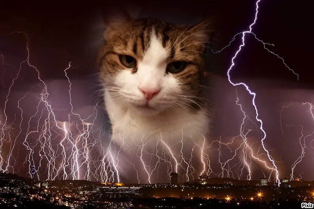 Condolence image of Patricia mit Bunny ❤