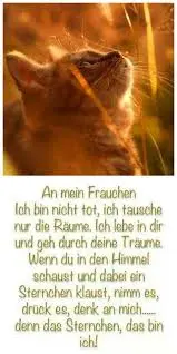 Condolence image of Annemarie und Elke mit Snoopy im Herzen gest.04.01.2022