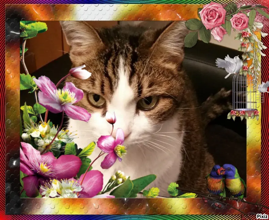 Condolence image of Patricia mit Bunny ❤