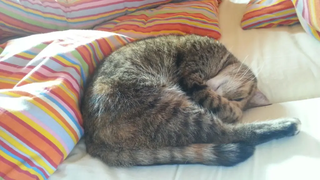 Condolence image of Daniela mit Pauline im ♥️ (+27.05.2021)