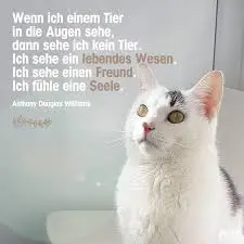 Condolence image of Annemarie und Elke mit Snoopy im Herzen gest.04.01.2022