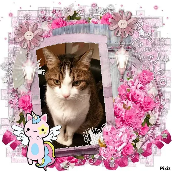 Condolence image of Patricia mit Bunny ❤️