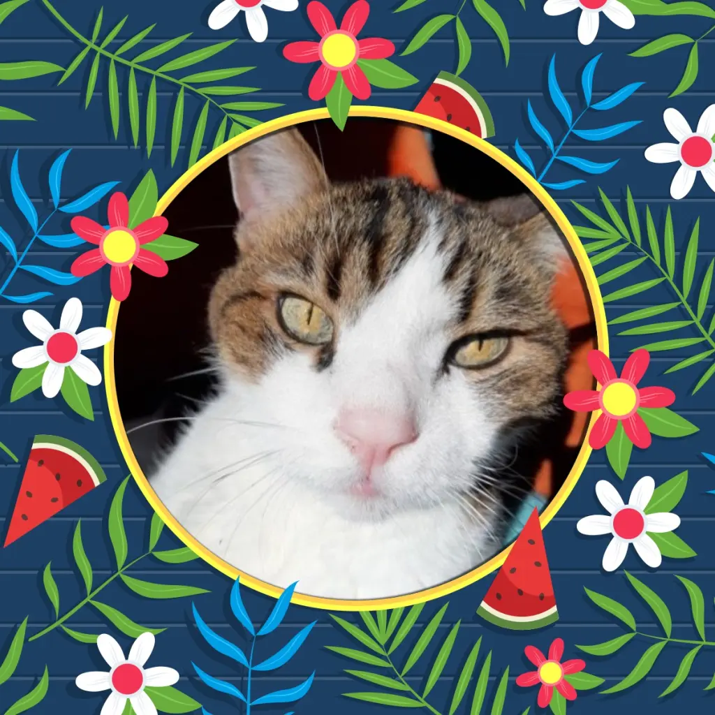 Condolence image of Andrea mit Minki im ♥️