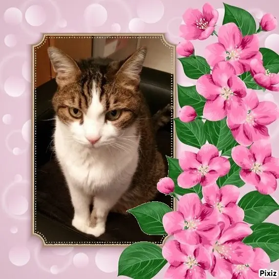 Condolence image of Patricia mit Bunny ❤️ 