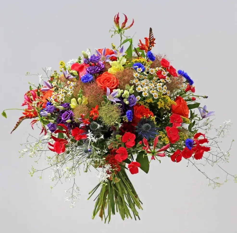 Condolence image of Daniela für Engelchen Timmy ♥️