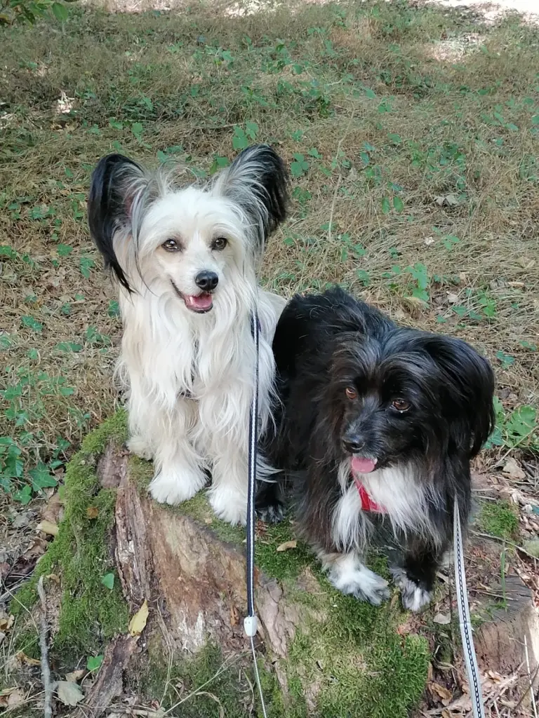 Condolence image of Michaela 