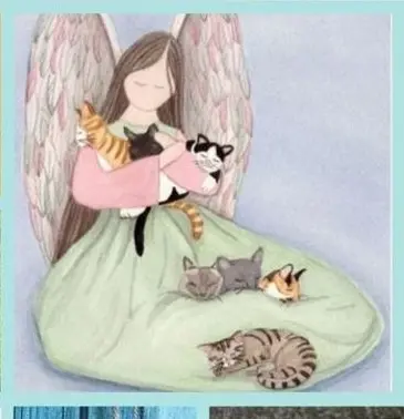 Condolence image of Ilse mit ihren geliebten Sternlein im Herzen