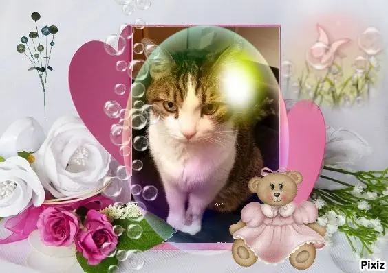 Condolence image of Patricia mit Bunny ❤️ 