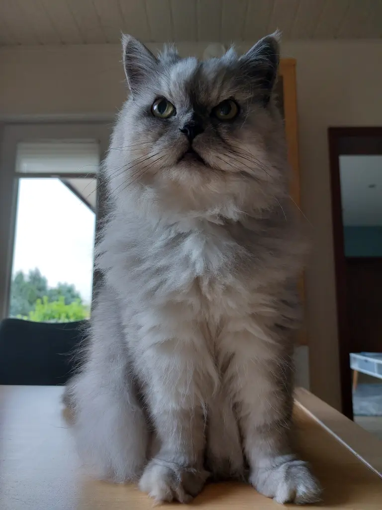 Condolence image of Unbekannt