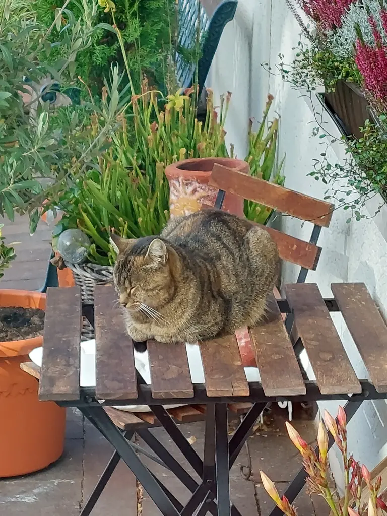 Condolence image of Daniela  mit Pauline im ♥️