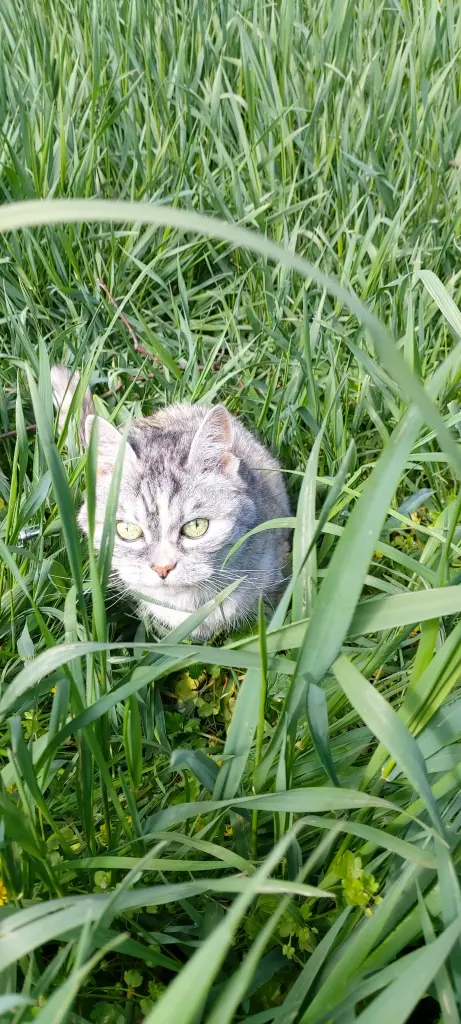 Condolence image of Silke mit Mia im Herzen