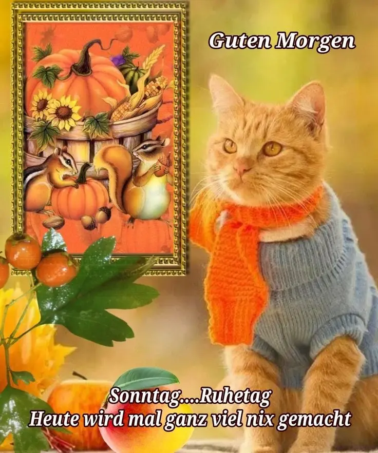 Condolence image of Post von Timmy ♥️