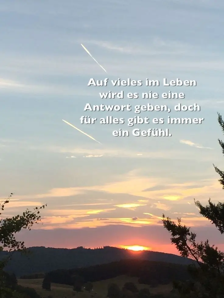 Condolence image of Daniela mit Pauline im ♥️ (+27.05.2021)