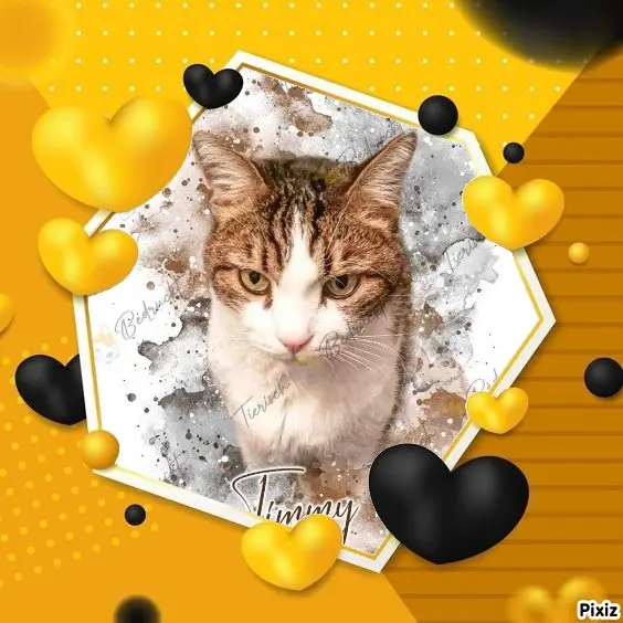 Condolence image of Patricia mit Bunny ❤️ 